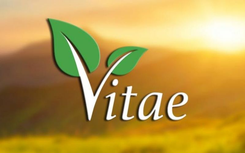 Vitae là gì? Một vài thông tin chi tiết về dự án của Vitae